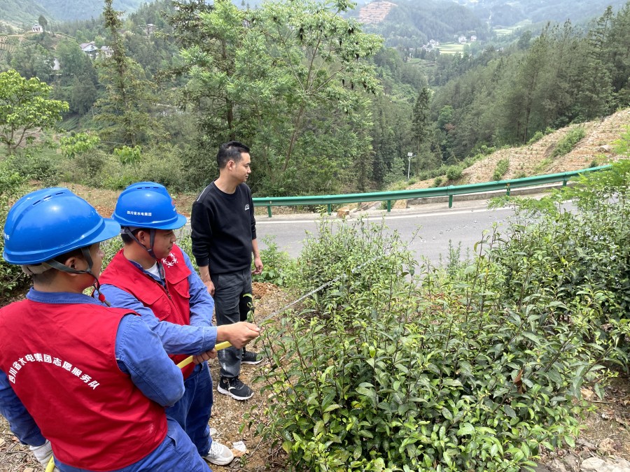 2圖為:協(xié)助茶農(nóng)澆灌茶樹